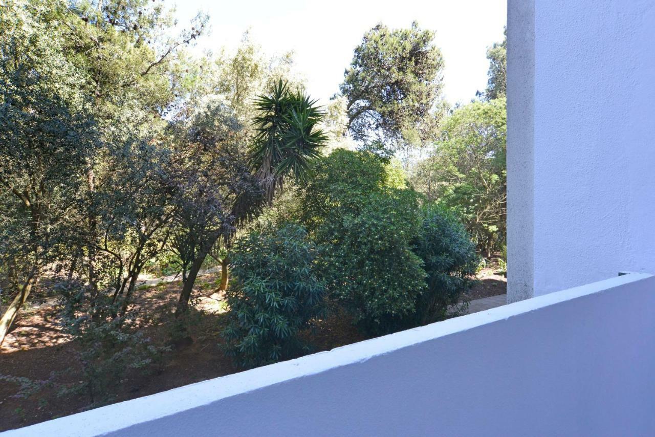 Tropical View Cascais - Checkinhome Екстериор снимка